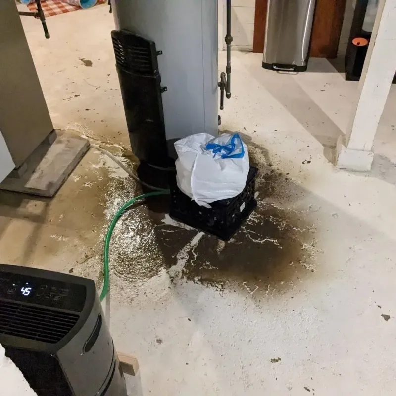 Sewage Backup Cleanup Service in Robertsdale, AL